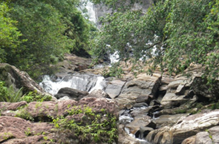 Image Format