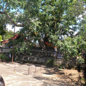 Image Format