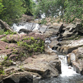 Image Format